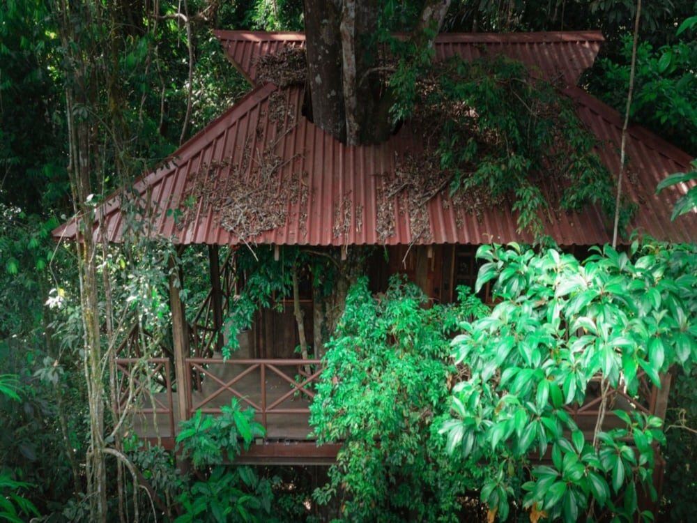 Maquenque Eco-Lodge 5/49