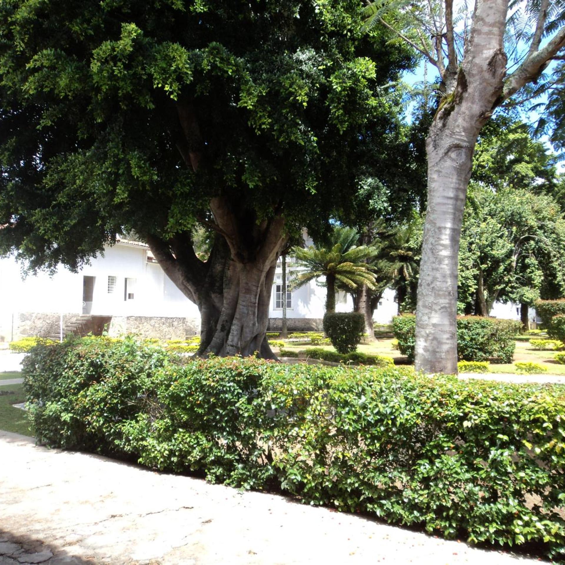 HOTEL TAVARES CORREIA 20/33