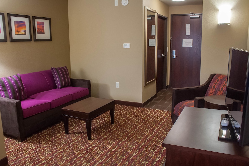 Comfort Inn & Suites Artesia, NM 27/40