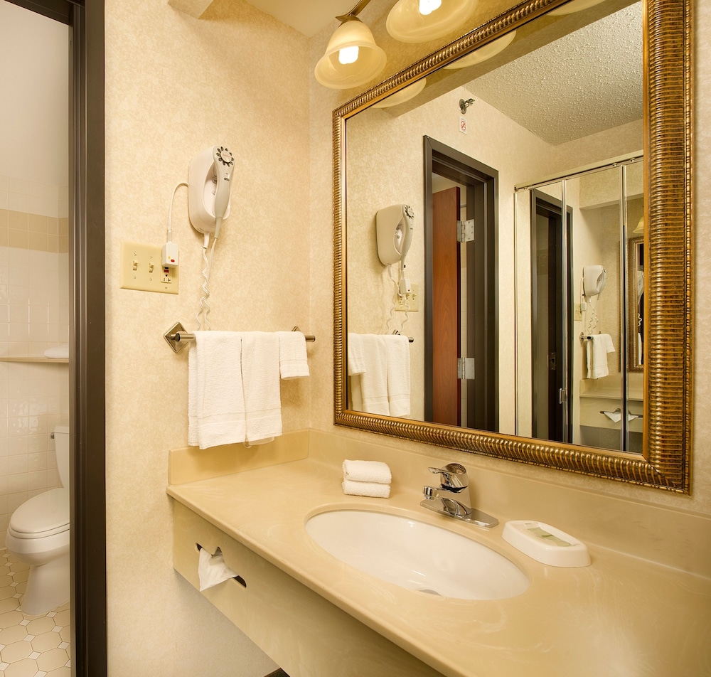 Drury Inn and Suites St Louis Airport 49/49