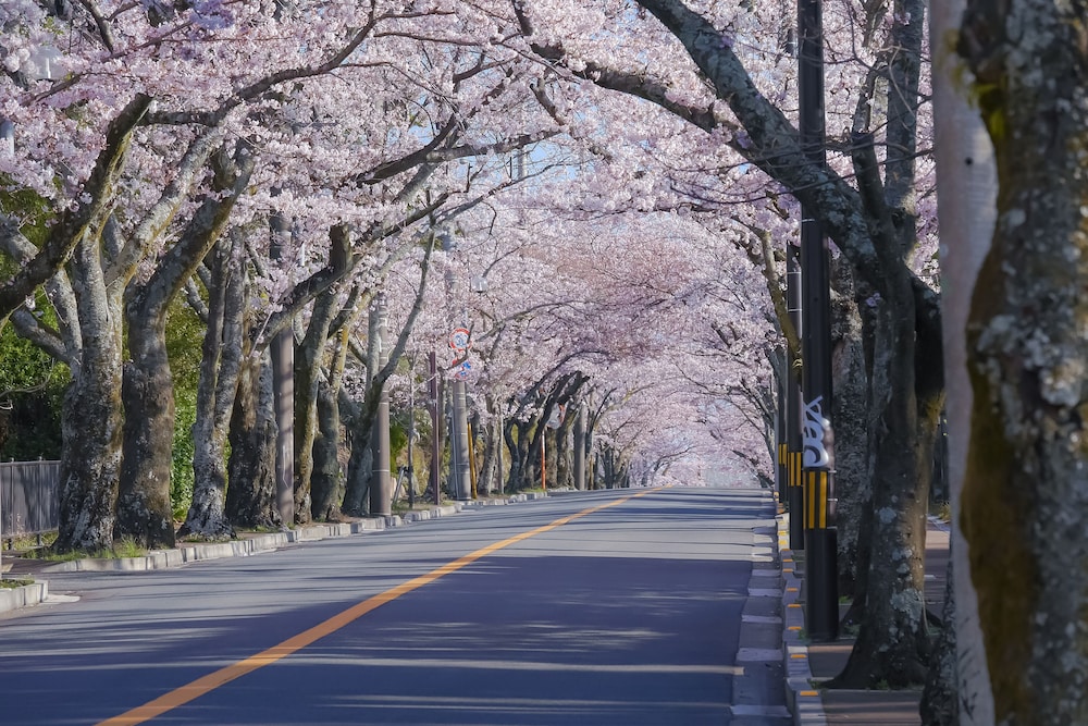 Kamenoi Hotel Izu Kogen 24/40