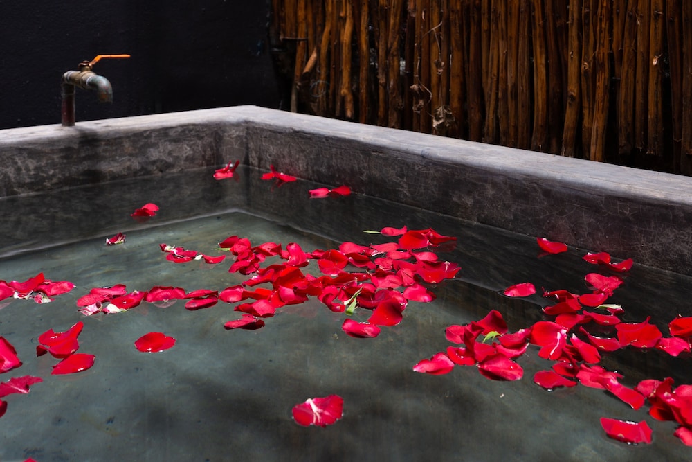 Aroma Tulum Hotel 20/42