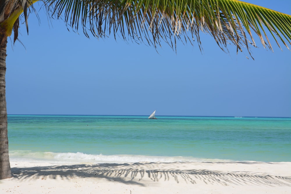 Neptune Pwani Beach Resort and Spa - All Inclusive 43/50