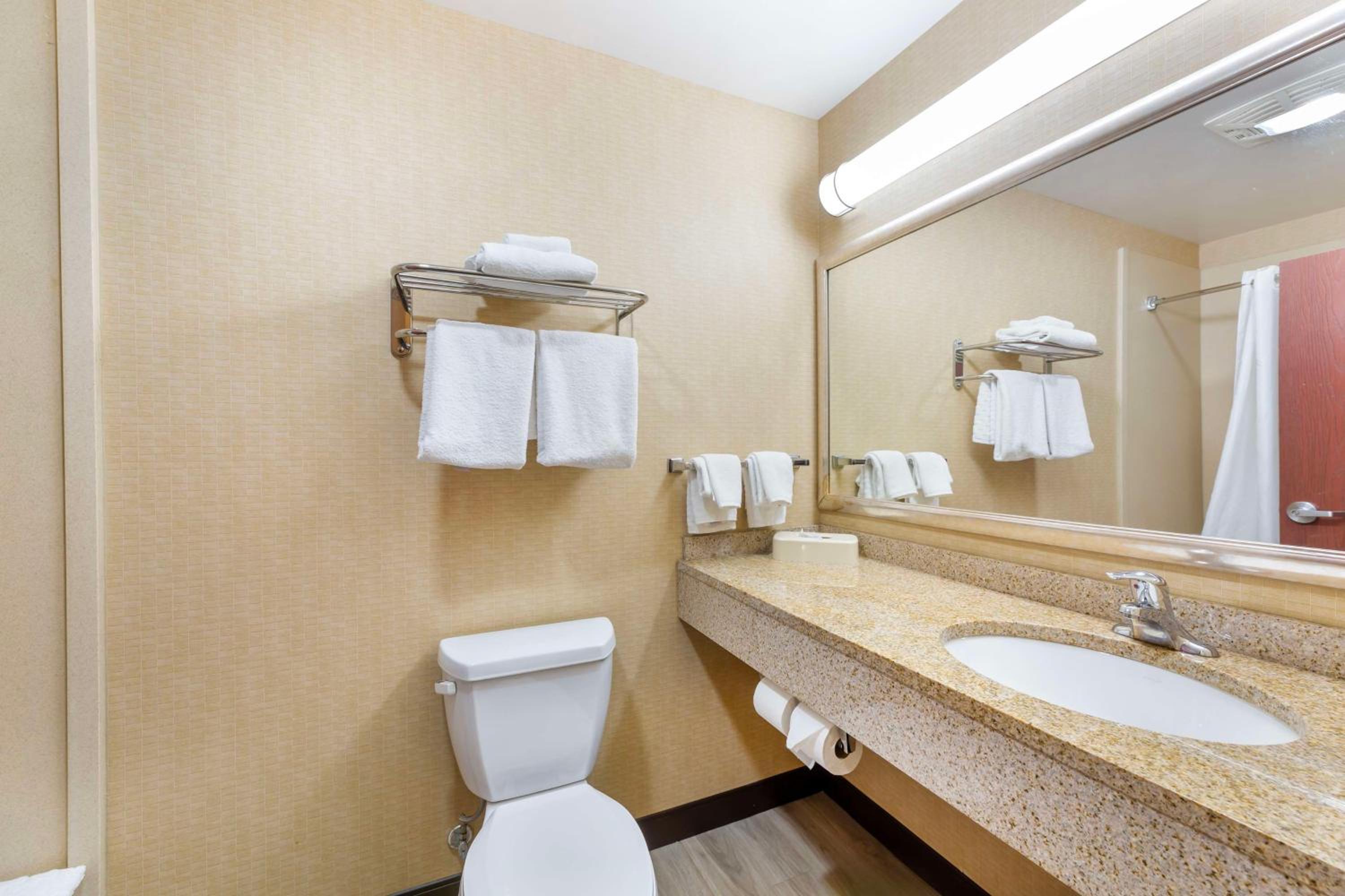 Suite, King Bed, Jetted Tub, Accessible