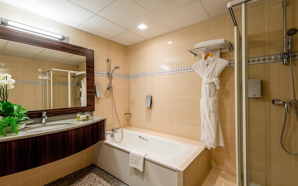 Holiday Inn Toulouse Airport 14/67