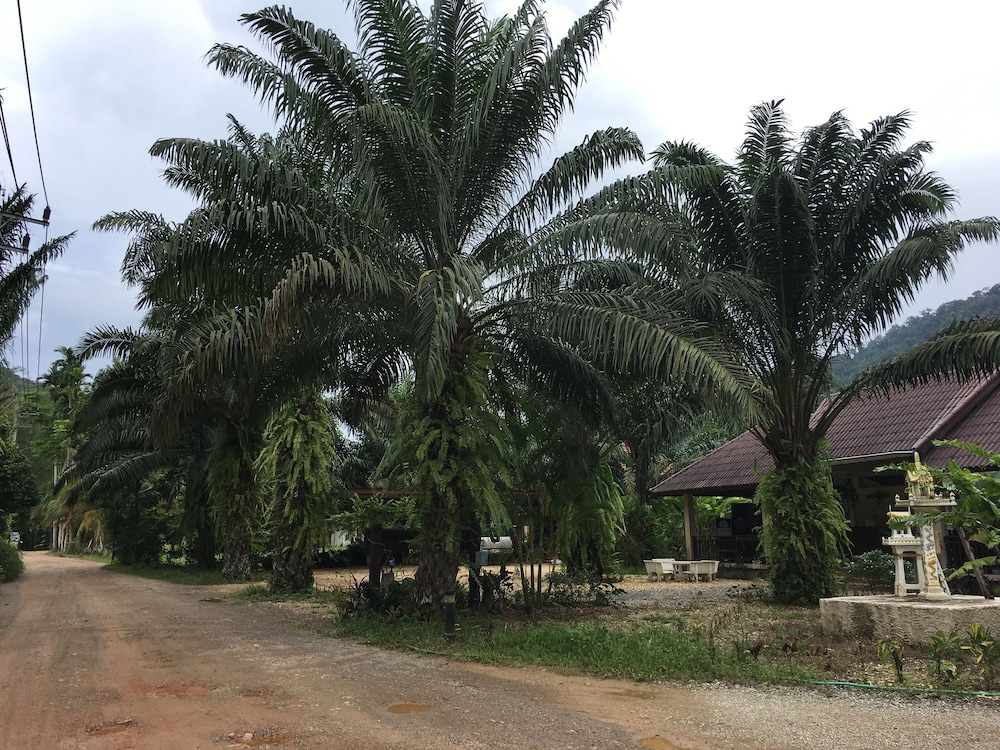 Khao Sok Palm Garden Resort 18/18
