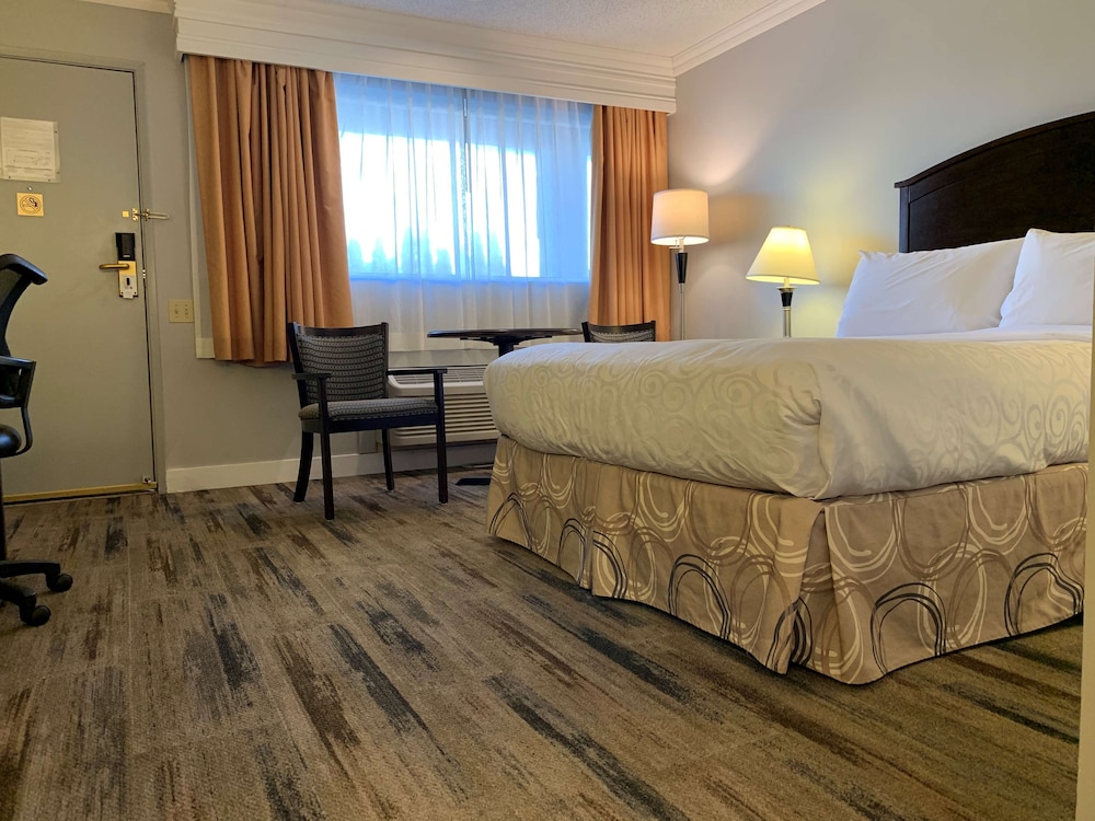 Best Western Plus Burnaby Hotel 35/76