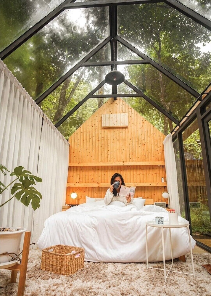Morning Star Glamping 11/50