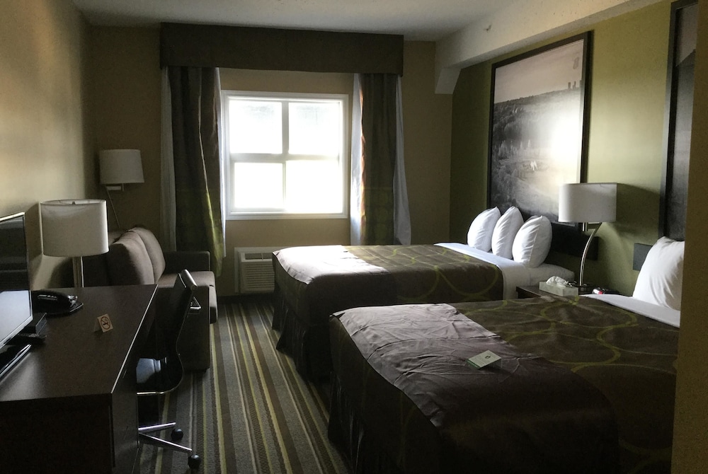 Efficiency, Deluxe, 2 Queen Beds