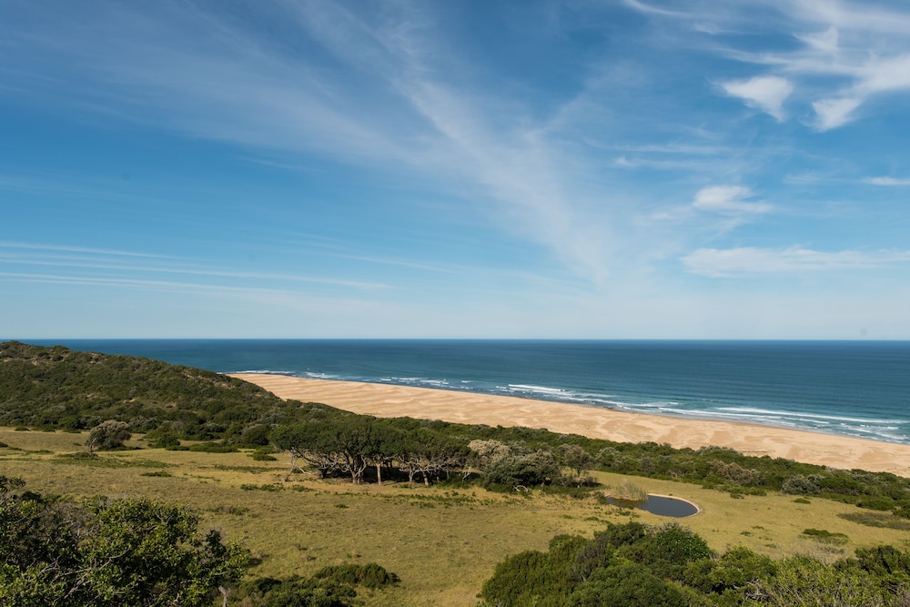 Oceana Beach and Wildlife Reserve 44/50