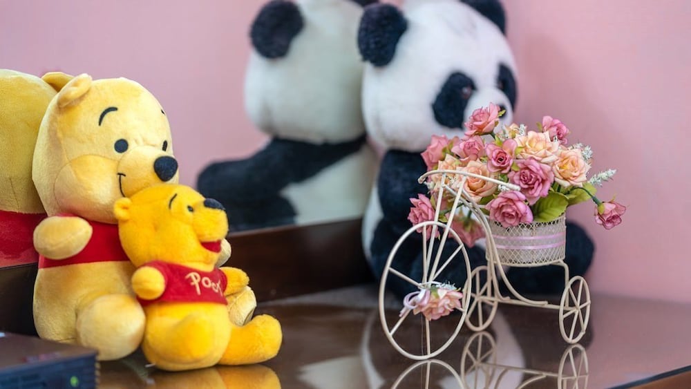 Hongcheon Starsonata Pension 20/50