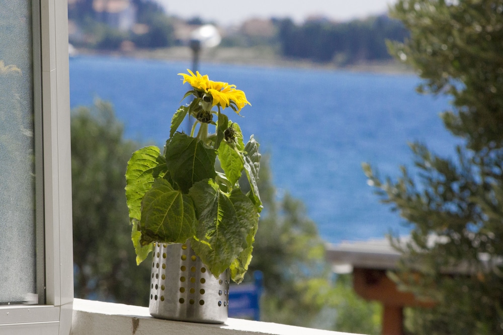 Vodice Lagom 37/50