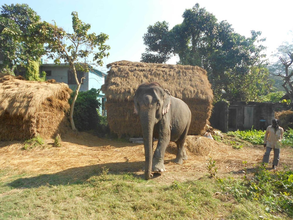 Eco Adventure Resort 19/23