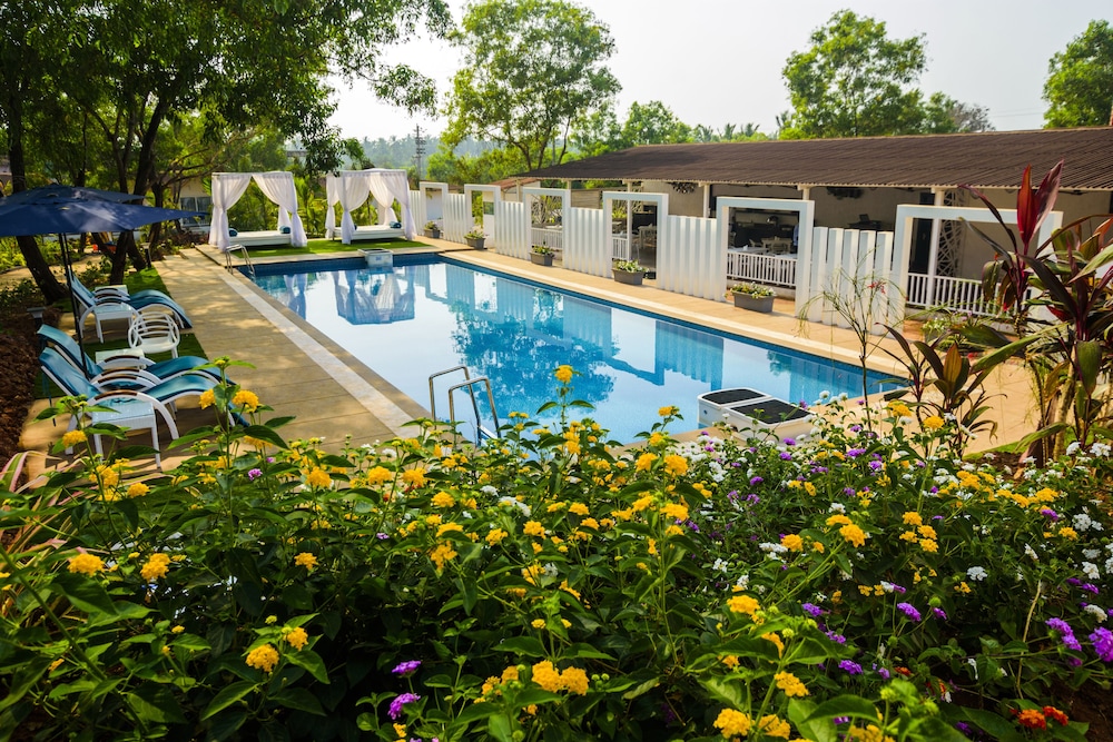 White Woods Resort & Spa 29/33