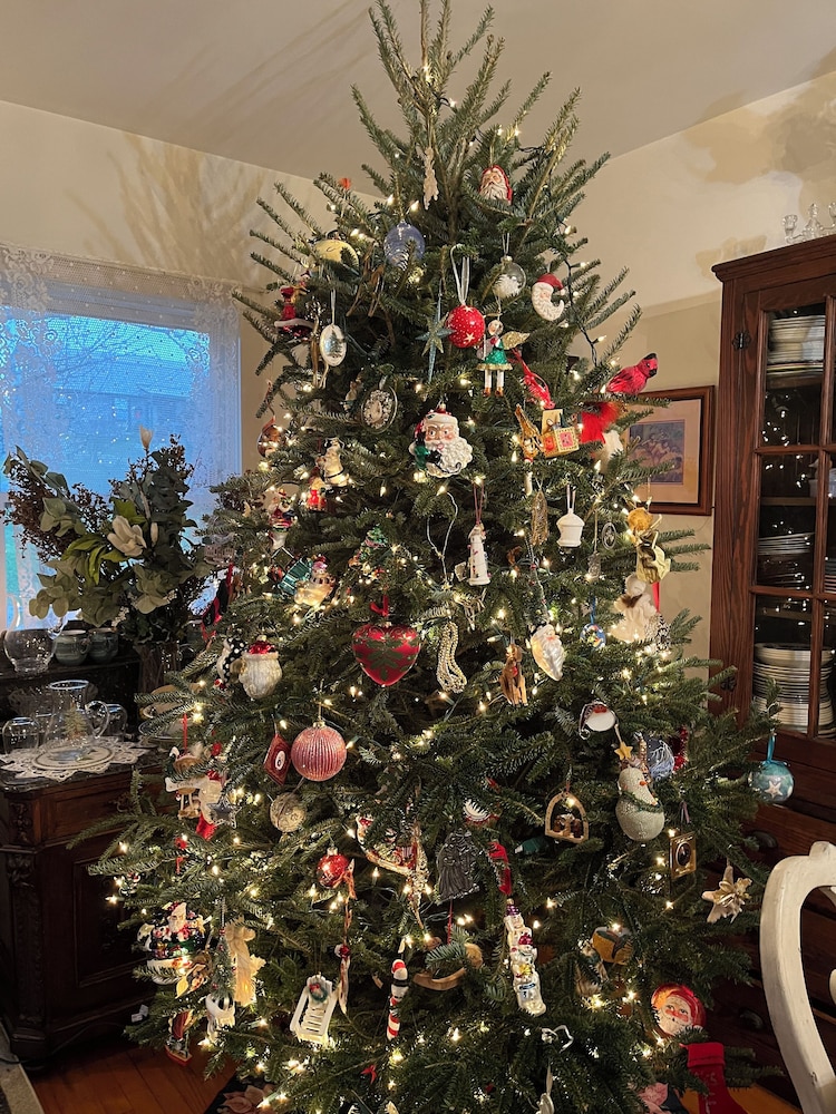 Gardenview Bed And Breakfast 31/43
