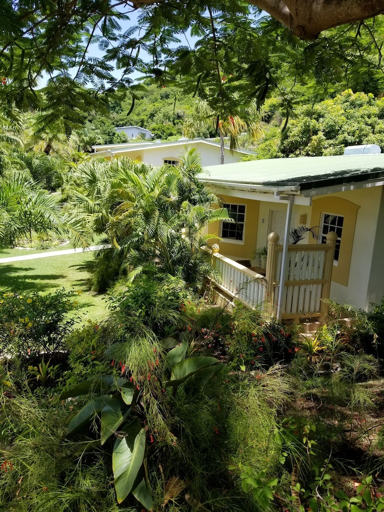 BLUE HORIZONS GARDEN RESORT 35/43