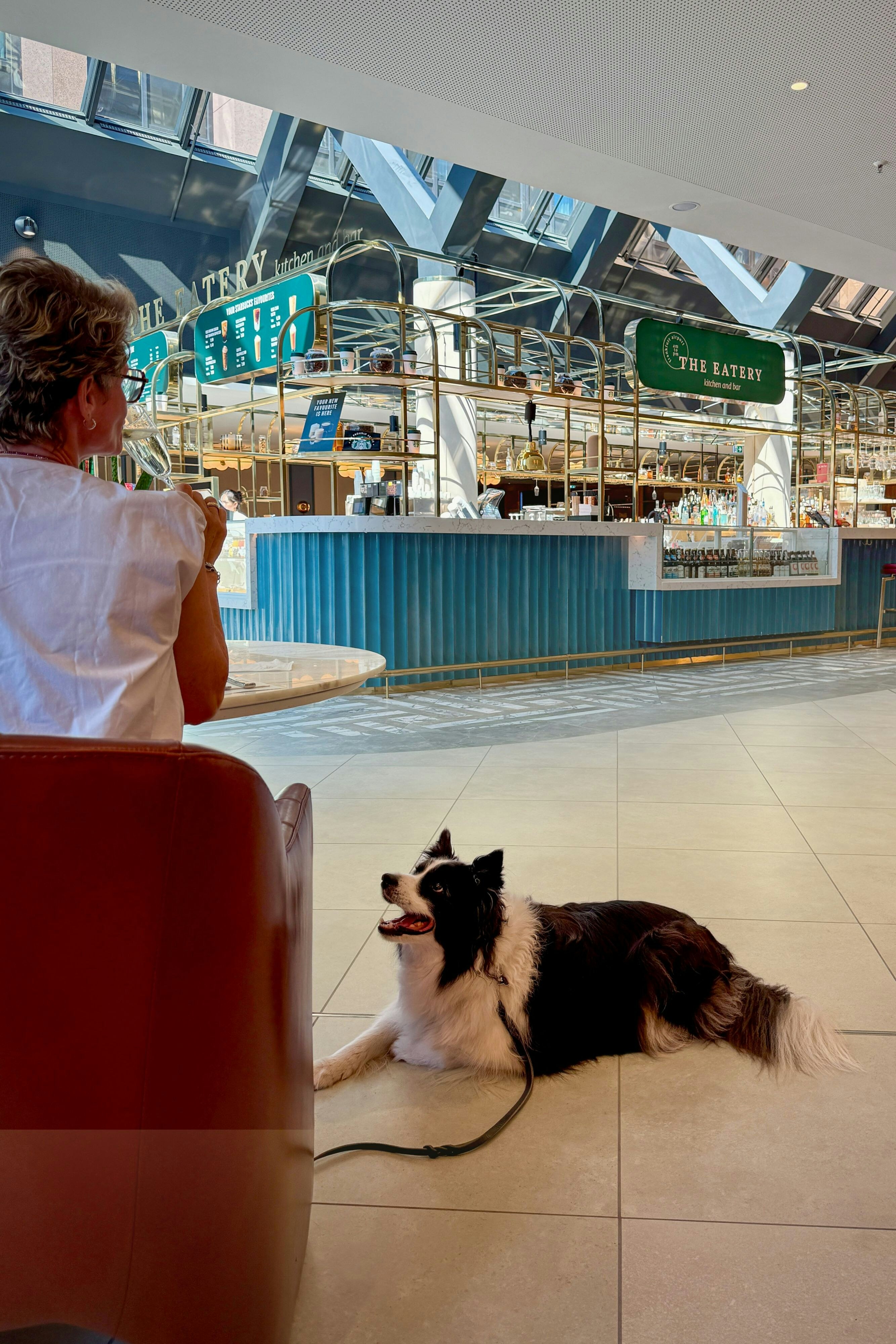 Frankfurt Airport Marriott Hotel 8/68