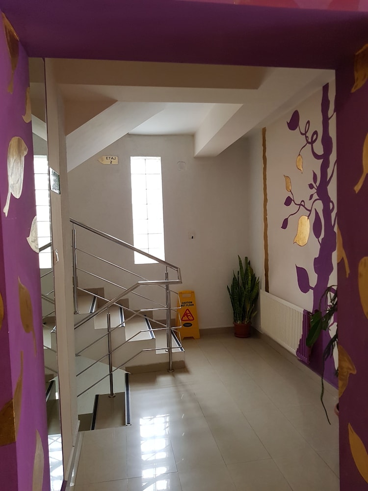 Tranzzit Hotel 36/44