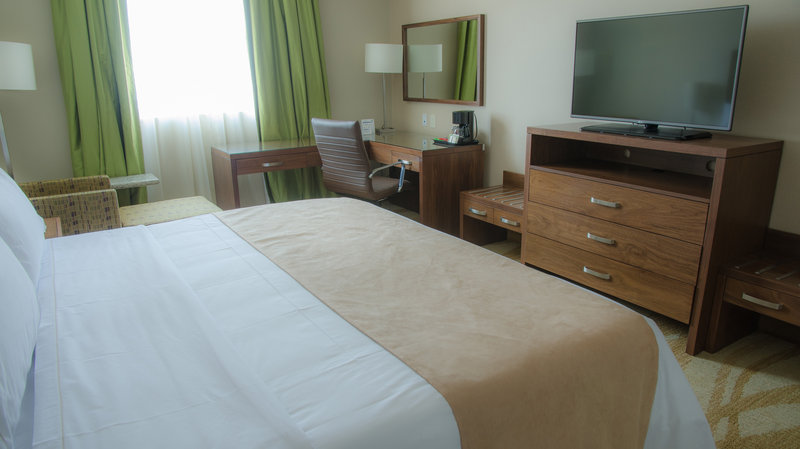 Holiday Inn Express and Suites Celaya 12/50