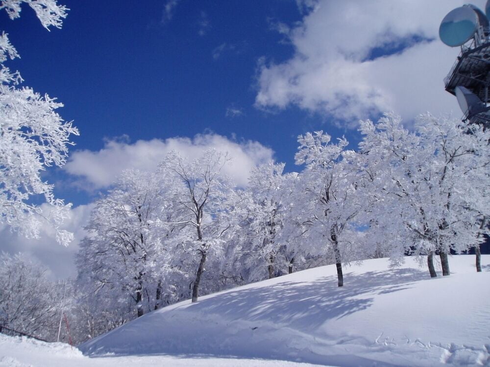 Lodge Matsuya 46/55