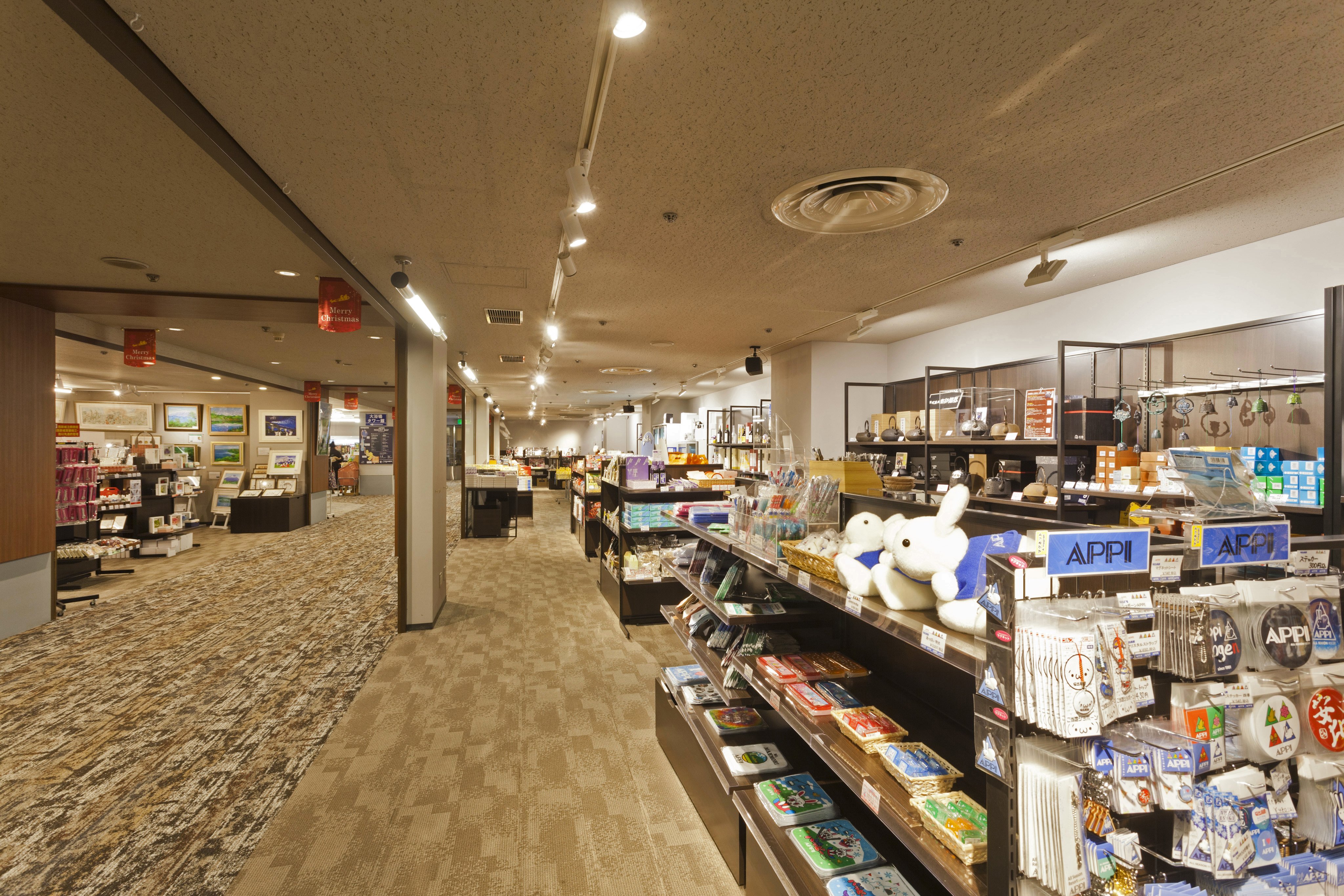 ANA Crowne Plaza Resort Appi Kogen 42/50