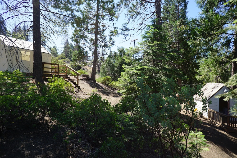 Shaver Lake Village Hotel 47/50