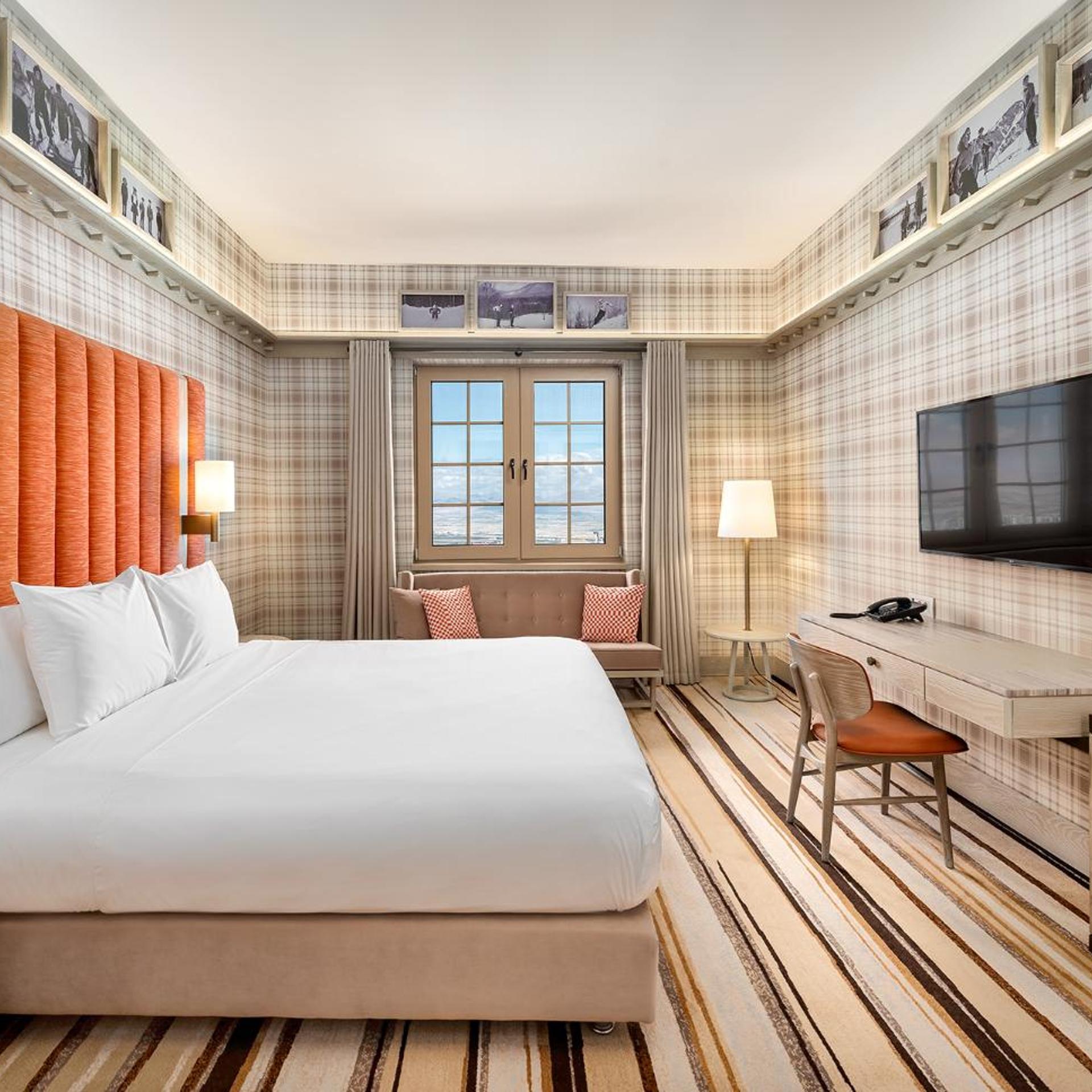 Suite, King Bed