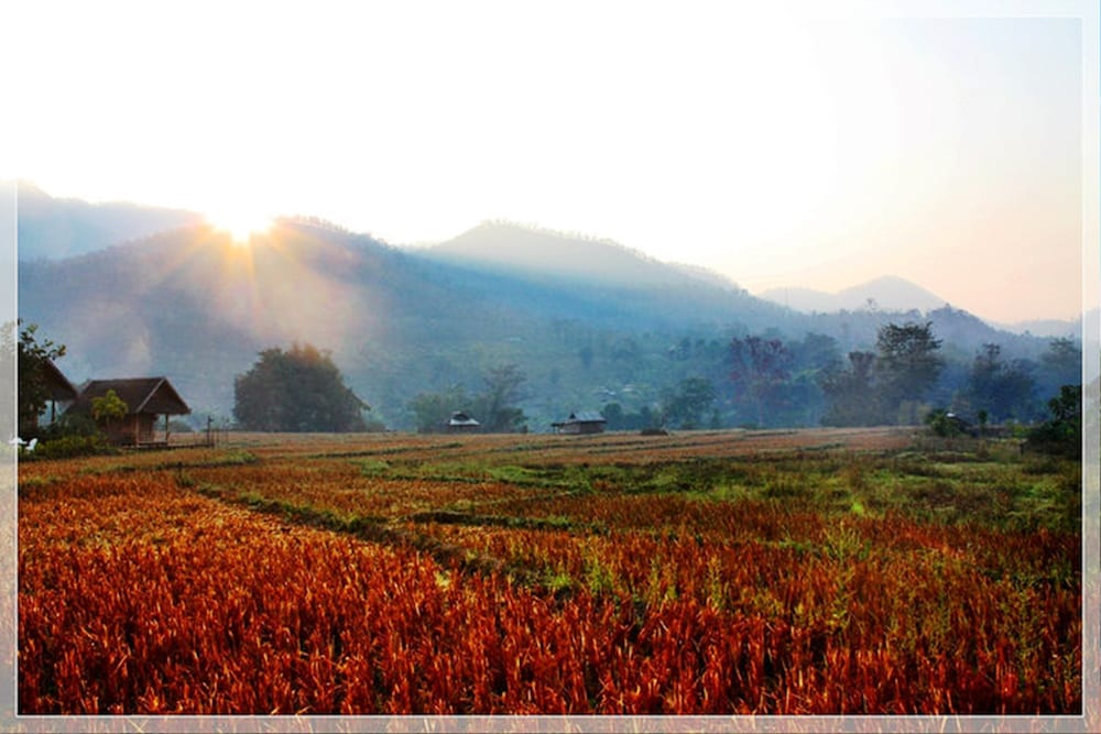 Pai Vieng Fah 58/67