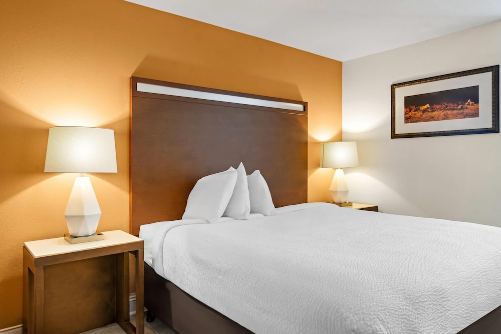 Rodeway Inn Baxley, GA 62/86