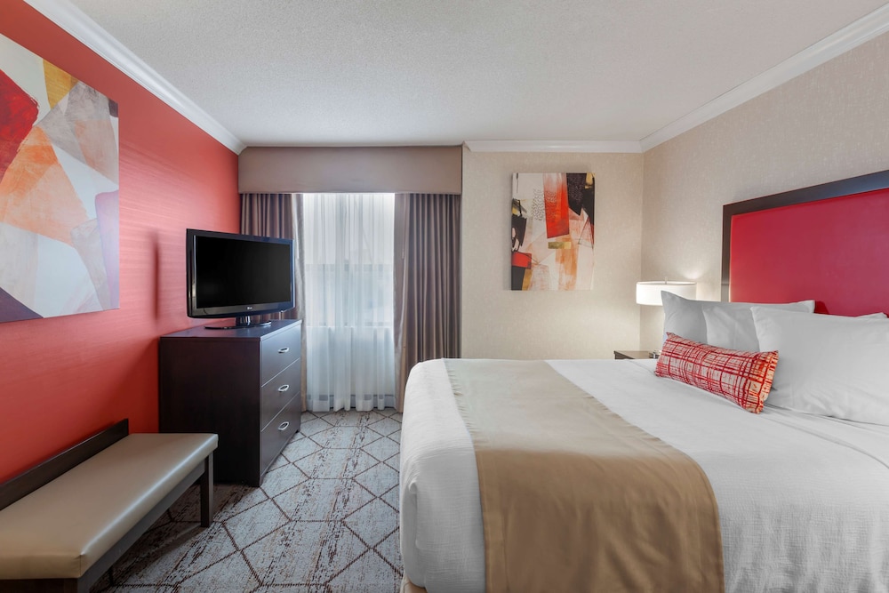 Suite, King Bed, Sofa