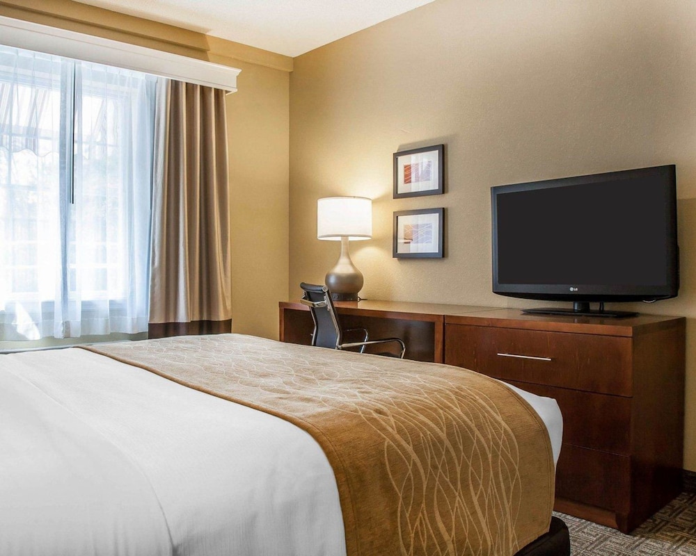 Comfort Inn & Suites Sturbridge-Brimfield 22/54
