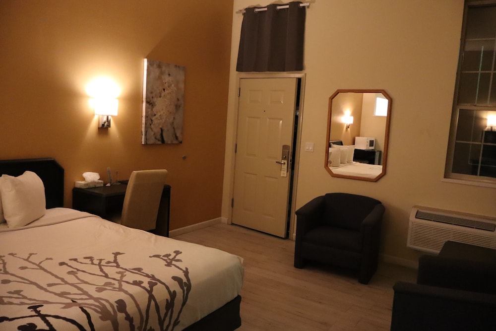 Econo Lodge Inn & Suites Montrose - Black Canyon Area 18/47