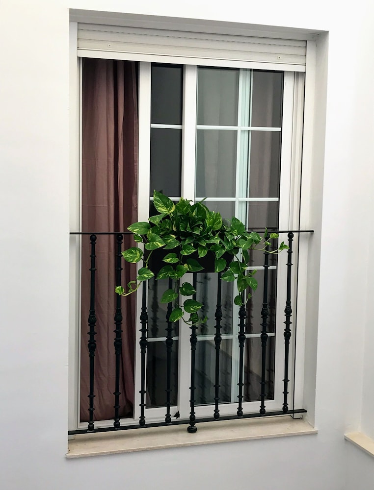 Triana Luxury Home 30/48
