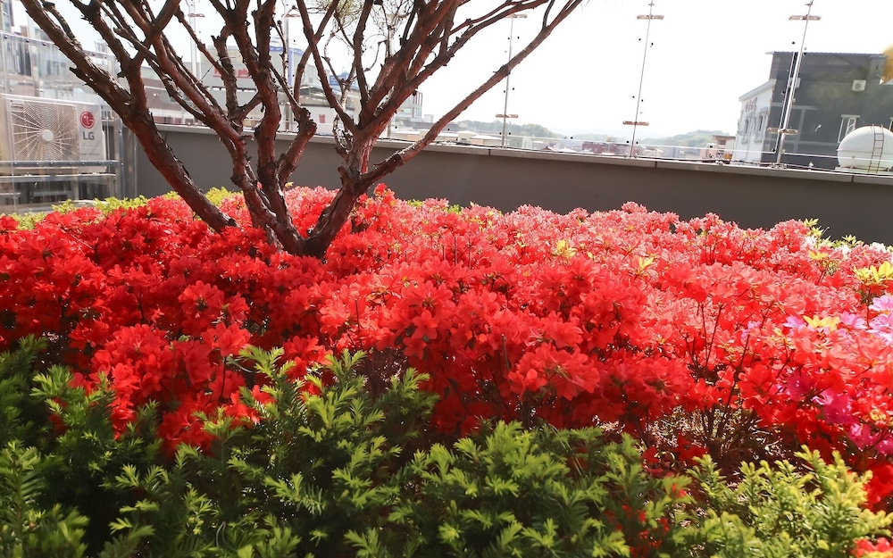 Yeongju Hotel 35/35