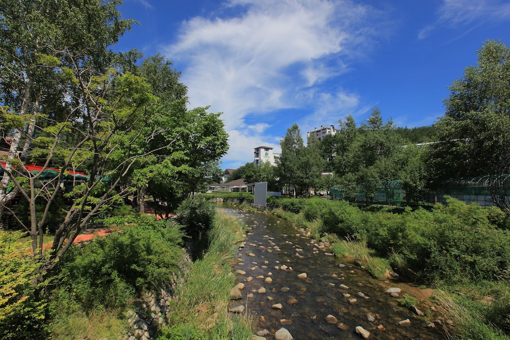 Yong Pyong Resort 33/50