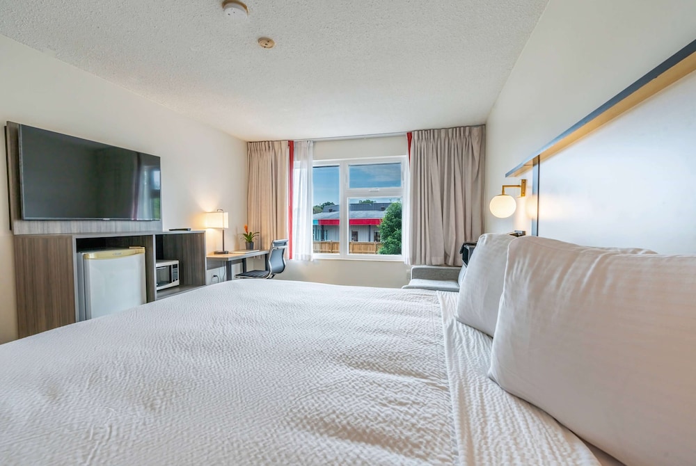 ROOM, KING BED