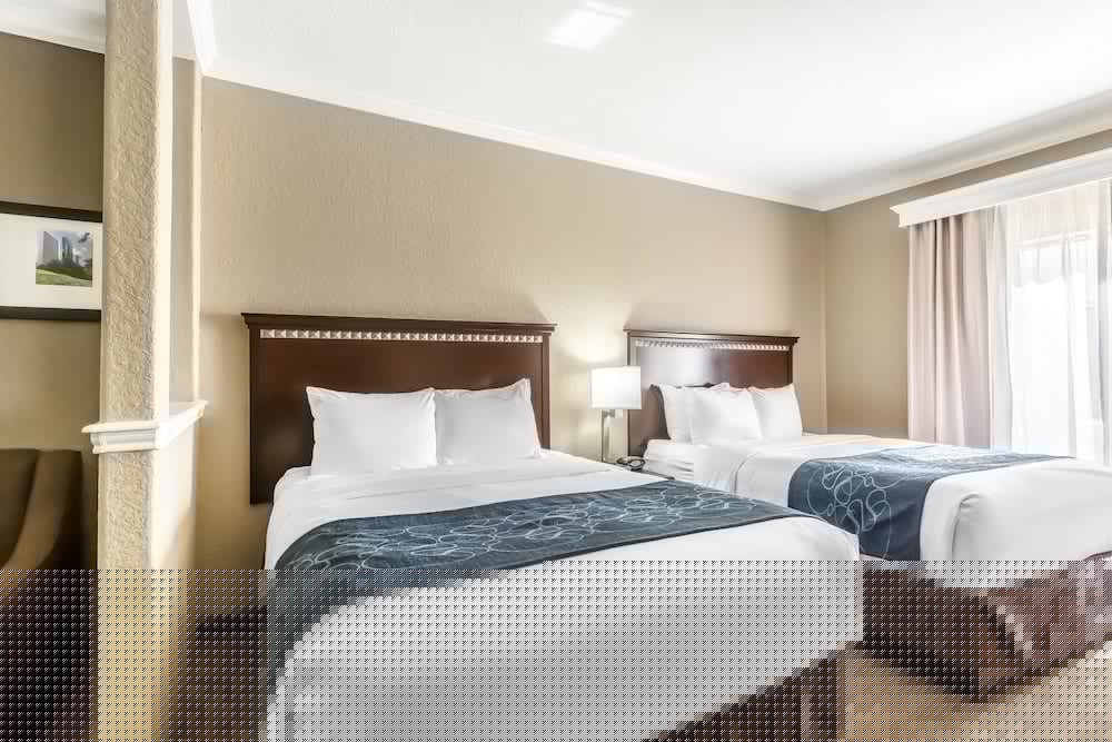 Comfort Suites Houston IAH Airport - Beltway 8 15/45