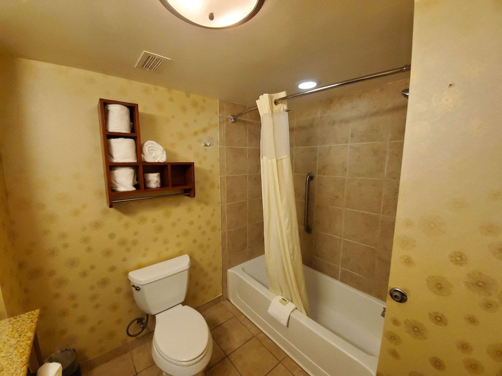 Hampton Inn & Suites Salida 12/43