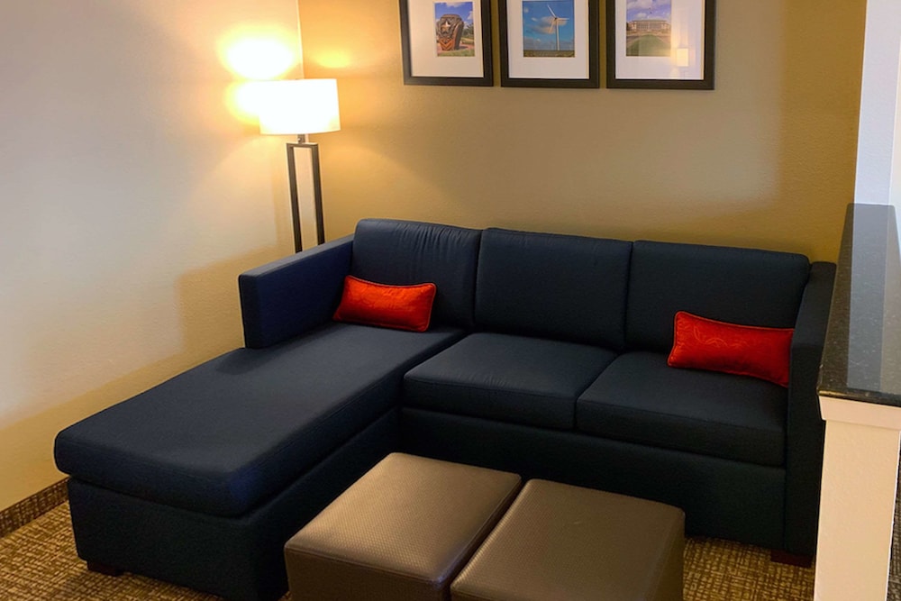 Comfort Suites Texas Ave. 18/28