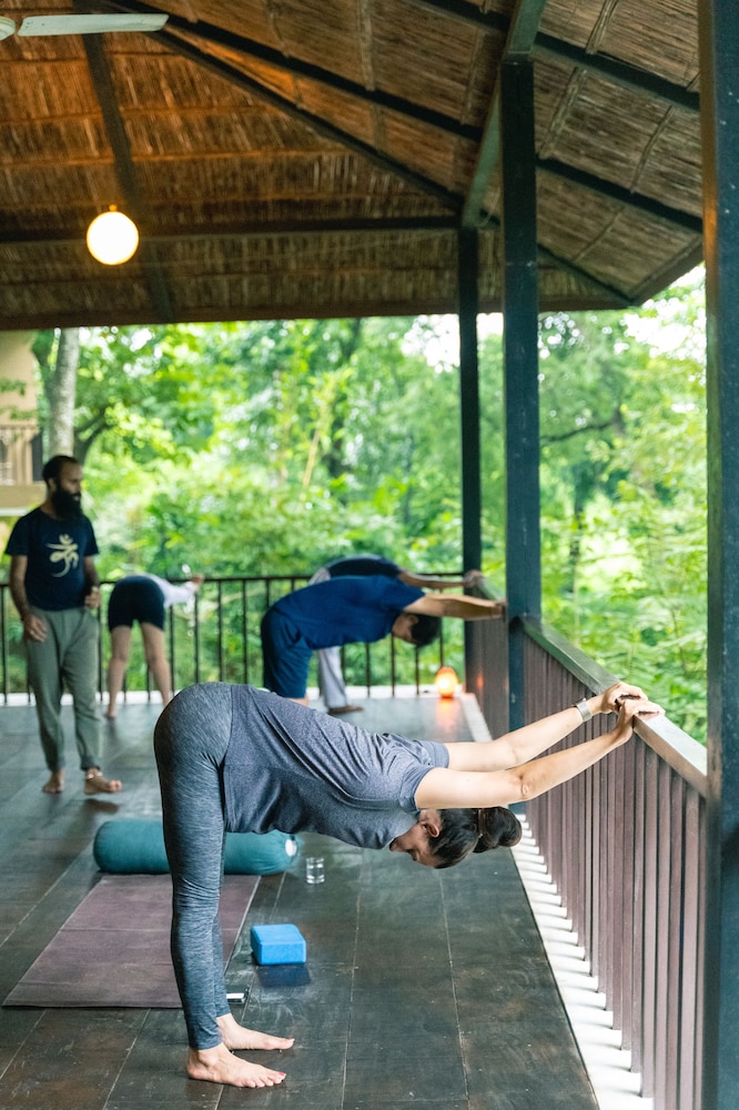 Kasara Jungle Resort 24/50