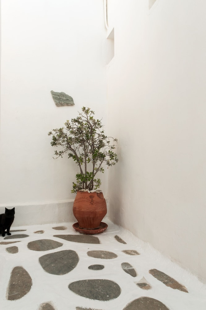 Andriani's Guest House 5/50