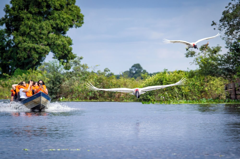 Pantanal Mato Grosso Hotel 64/69