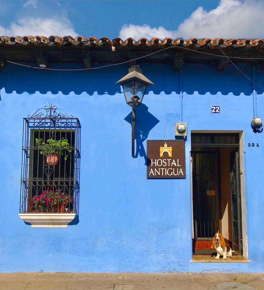 Hostal Antigua - Hostel 2/62