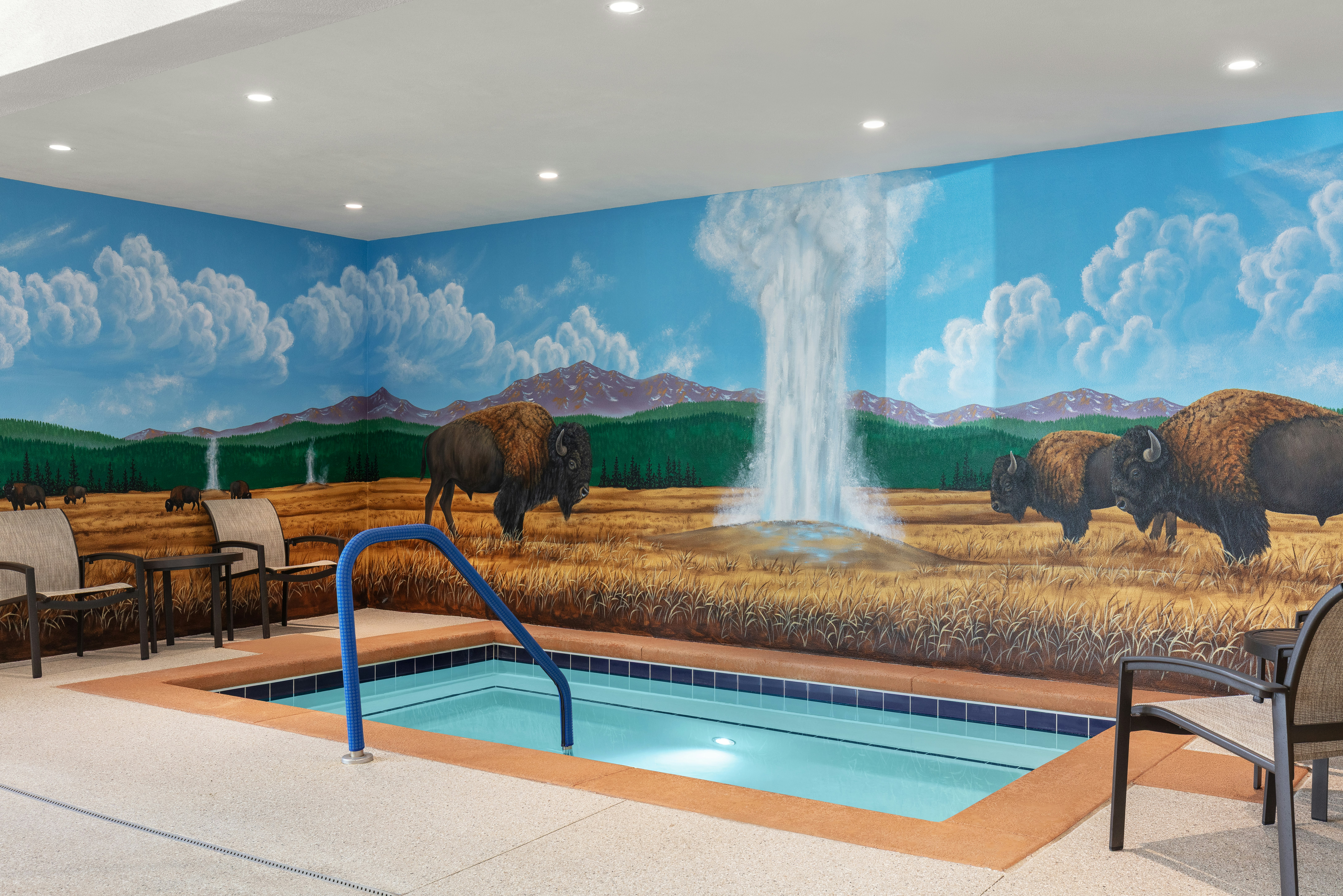 Starlite Yellowstone, Tapestry Collection by Hilton 31/54
