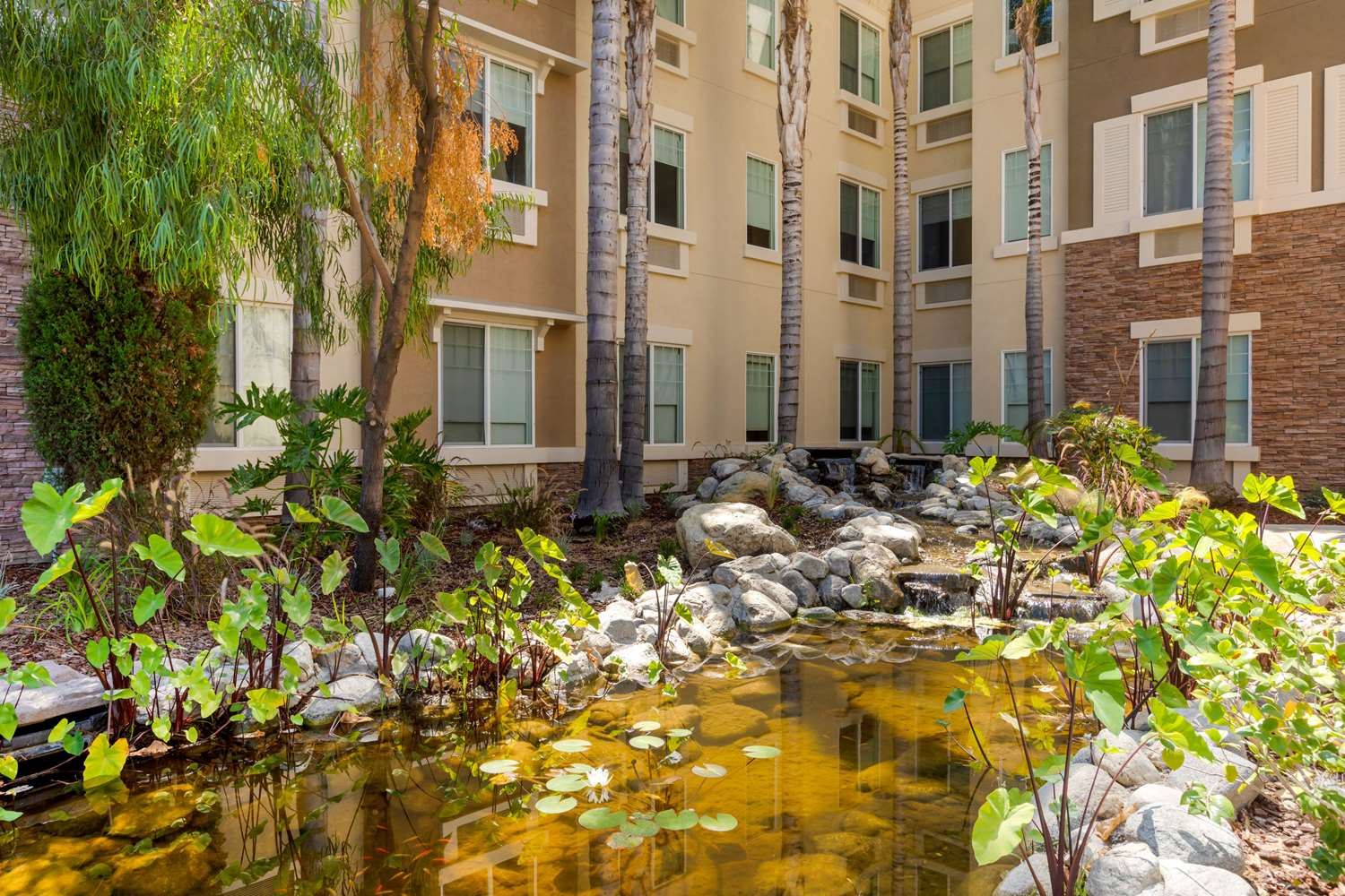 Comfort Inn & Suites Near Ontario Airport, CA 14/19