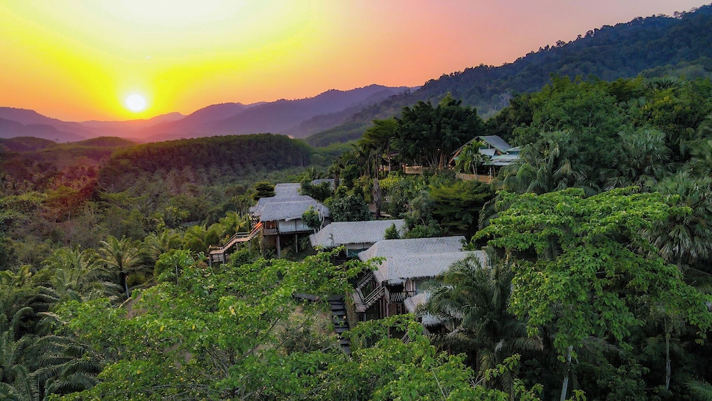 Khaosok Boutique Camps 48/50