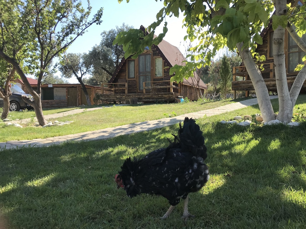 Ida Natura Life Style Otel Kazdaglari 14/70