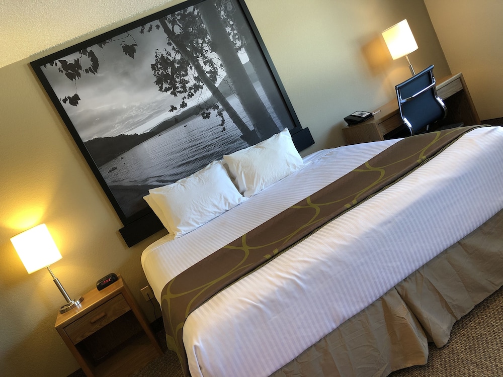 Super 8 by Wyndham Salmon Arm 12/35