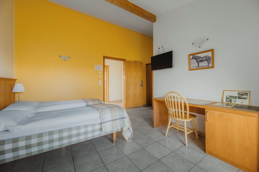 Hotel Eldhestar 12/52