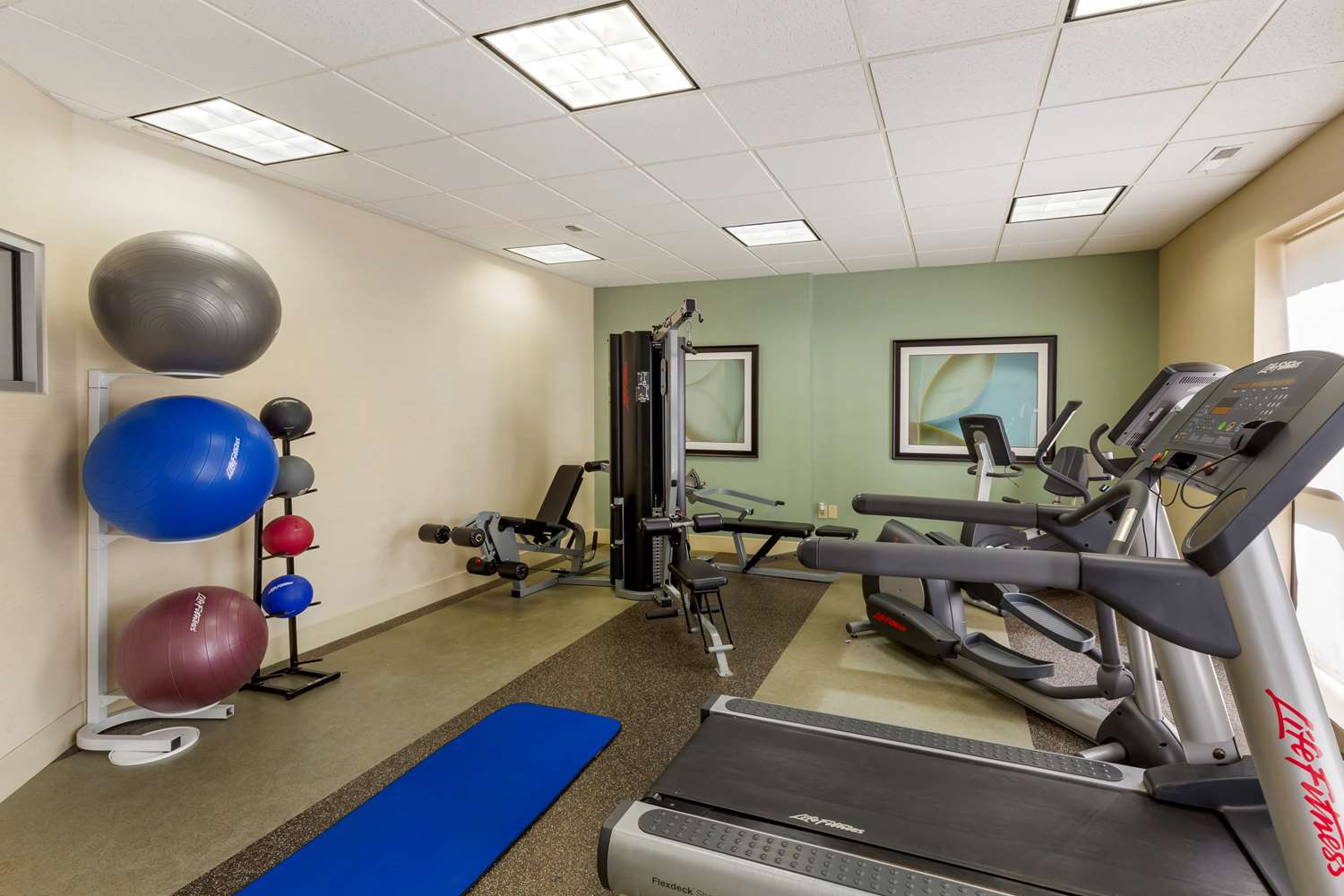 Best Western Plus Cary Inn - Nc State 10/24